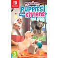 My Universe: Puppies and Kittens (SWITCH)_823963104