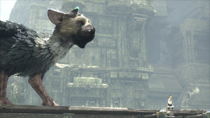 The Last Guardian (PS4)_819366915