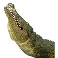 Figurka Mojo - Krokodýl s kloubovou čelistí_67154301