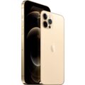 Apple iPhone 12 Pro Max, 256GB, Gold_2144603032