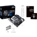 ASUS PRIME Z490M-PLUS - Intel Z490_1034395823