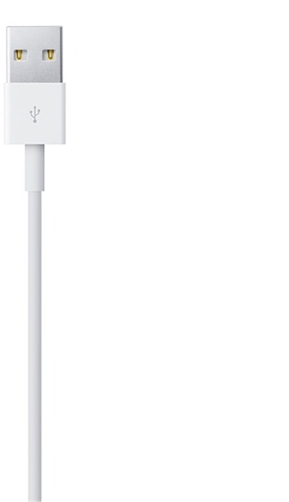 Kabel USB-A - Lightning, M/M, nabíjecí, datový, 1m, BULK balení_1987114930