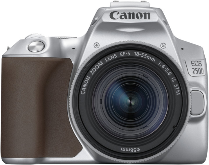 Canon EOS 250D + 18-55mm IS STM, stříbrná_1424606978