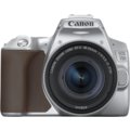 Canon EOS 250D + 18-55mm IS STM, stříbrná_1424606978