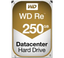 WD Re (ABYZ), 3,5&quot; - 250GB_1559997883