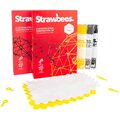 Strawbees Vintage School Kit – (EDU)