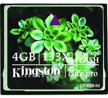 Kingston CompactFlash Elite Pro 133x 4GB_1537735090
