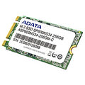 ADATA SP600NS M.2 2242 - 256GB