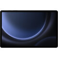 Samsung Galaxy Tab S9 FE+ 5G, 8GB/128GB, Gray_1319346354