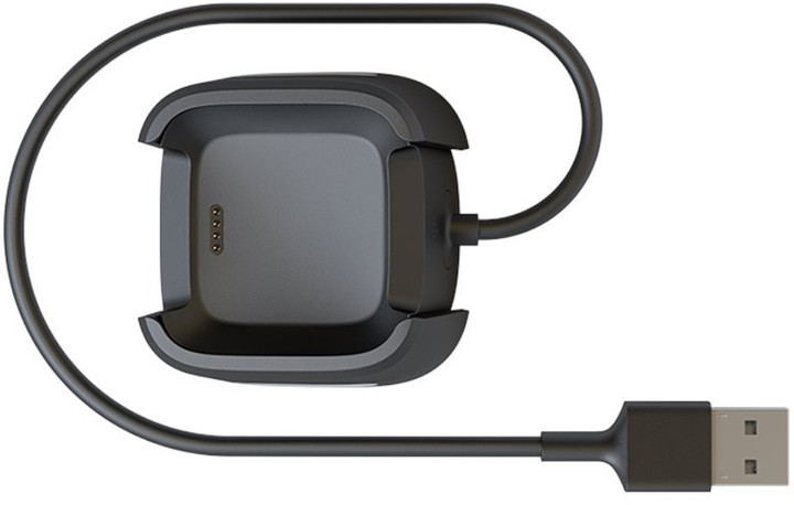 Google Fitbit Versa Retail Charging Cable_1132475782