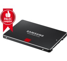 Samsung SSD 850 Pro - 256GB_1260441533
