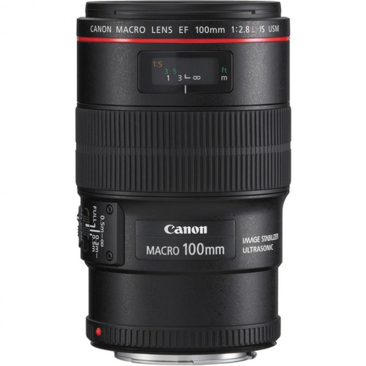 Canon EF 100mm f/2.8L Macro IS USM_1105084964