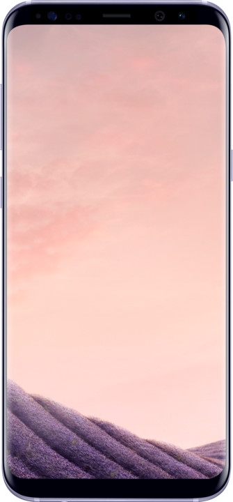 Samsung Galaxy S8+, 4GB/64GB, šedá_1724653428