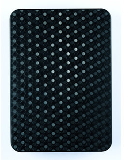 Samsung G2 Portable - 320GB, černá (black)_1175793584