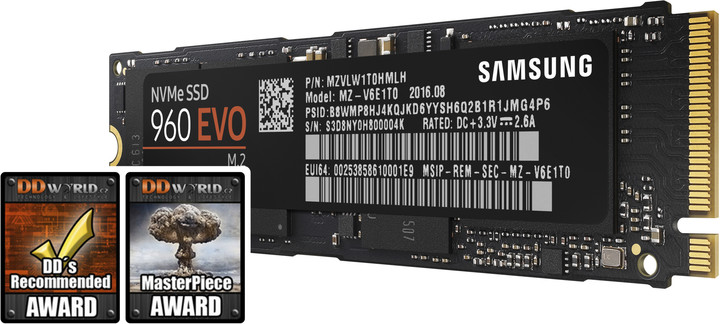 Samsung SSD 960 EVO (M.2) - 1TB_2101873754