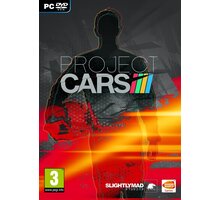 Project CARS (PC)_1090379893