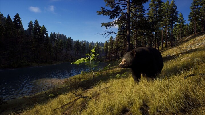 Way of the Hunter - Hunting Season One (Xbox Series X)_122529765