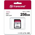 Transcend SDXC 300S 256GB 95MB/s UHS-I U3_799674510