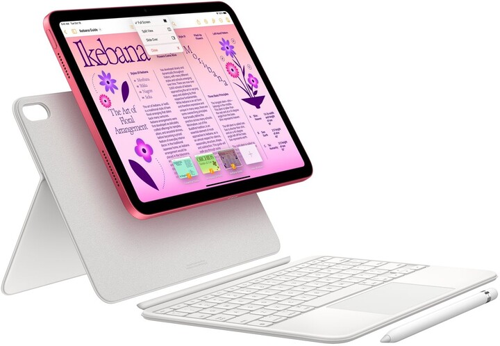 Apple iPad 2022, 256GB, Wi-Fi + Cellular, Pink_2044952349