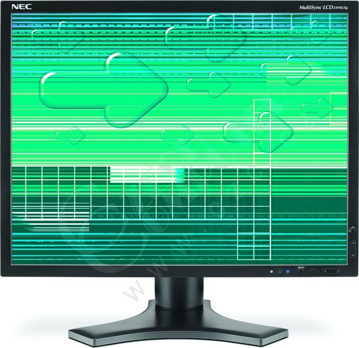 NEC 2190UXp black - LCD monitor 21&quot;_868908503
