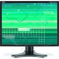 NEC 2190UXp black - LCD monitor 21&quot;_868908503