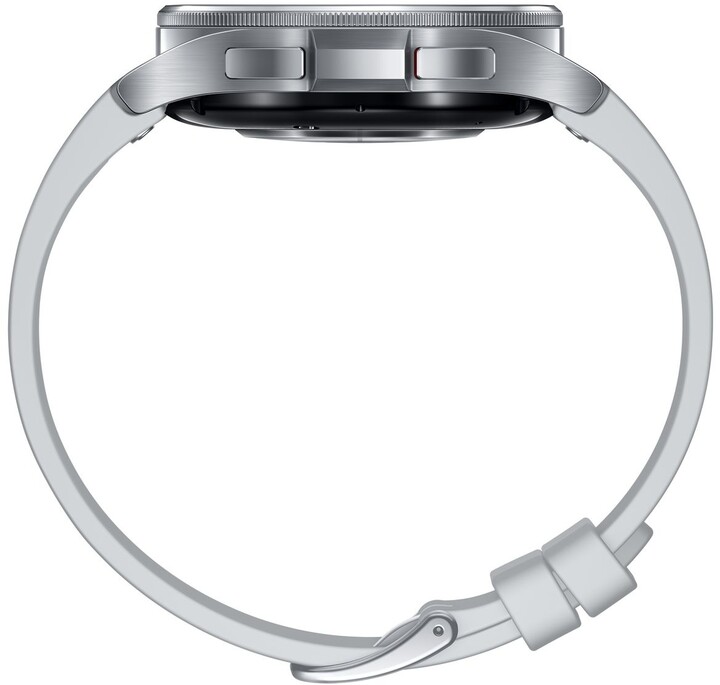 Samsung Galaxy Watch6 Classic 43mm, Silver_890820529