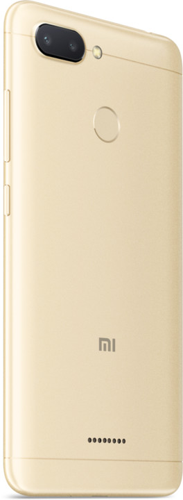 Xiaomi Redmi 6 Dual, 3GB/32GB, zlatý_1521668302