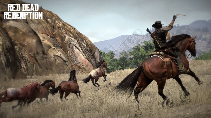 Red Dead Redemption (PS3)_1462880605