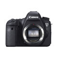 Canon EOS 6D /EF 24-70_1170460278