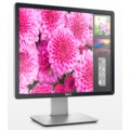Dell Professional P1914S - LED monitor 19&quot;_1934020615