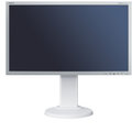 NEC MultiSync E201W, bílo-stříbrný - LED monitor 20"