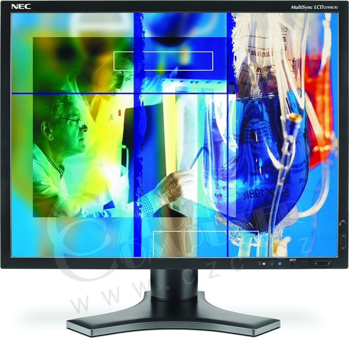 NEC 2190UXi black - LCD monitor monitor monitor monitor monitor 21&quot;_936904540