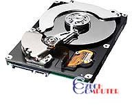 Samsung HD321KJ - 320GB SATA II_410239021