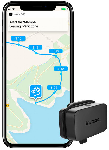 Invoxia GPS Pet Tracker – GPS lokátor pro psy_2057800353