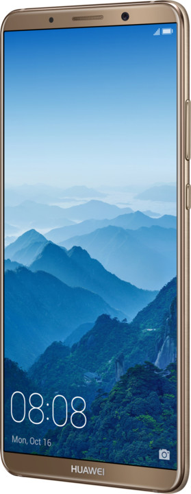 Huawei Mate 10 Pro, Dual Sim, hnědá_163745540