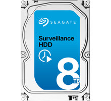 Seagate Surveillance - 8TB_478878643