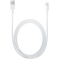 Apple, Lightning to USB Cable, 2m (bulk) Poukaz 200 Kč na nákup na Mall.cz