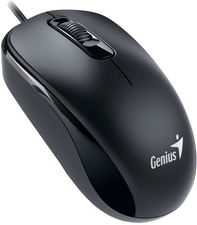 Genius DX-110, USB, černá_1602618907