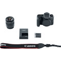 Canon EOS 77D + 18-135mm IS USM_155809896