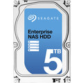 Seagate Enterprise NAS - 5TB + Rescue