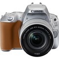 Canon EOS 200D + 18-55mm IS STM, stříbrná