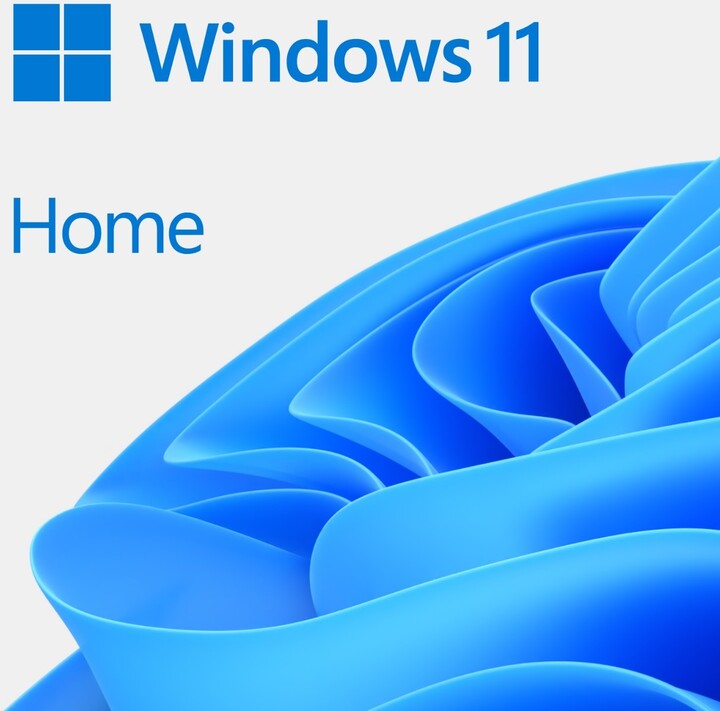 Microsoft Windows 11 Home CZ (OEM)_308656043