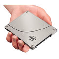 Intel SSD DC S3700 - 800GB, OEM_2024069829