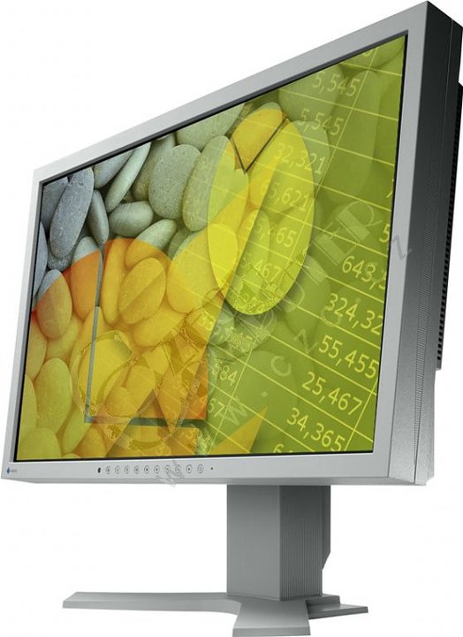 EIZO FlexScan S2202WE-GY - LCD monitor 22&quot;_1770554357