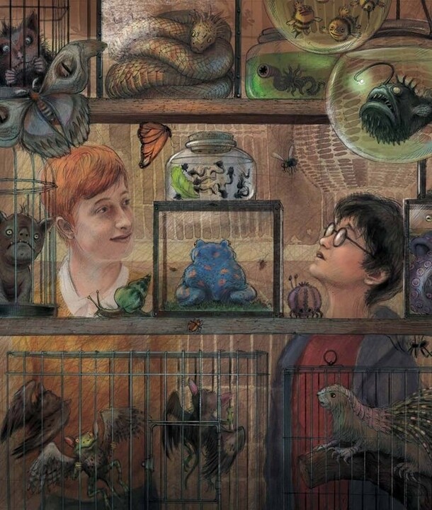 Kniha Harry Potter a vězeň z Azkabanu, ilustrovaná_1886119112