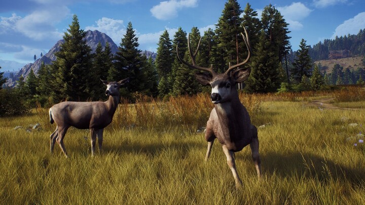 Way of the Hunter - Hunting Season One (Xbox Series X)_922077300