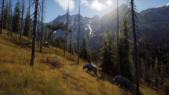 Way of the Hunter - Hunting Season One (Xbox Series X)_987605350