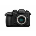 Panasonic Lumix DMC-GH5 + Leica DG 12-60mm f/2.8-4_659267367