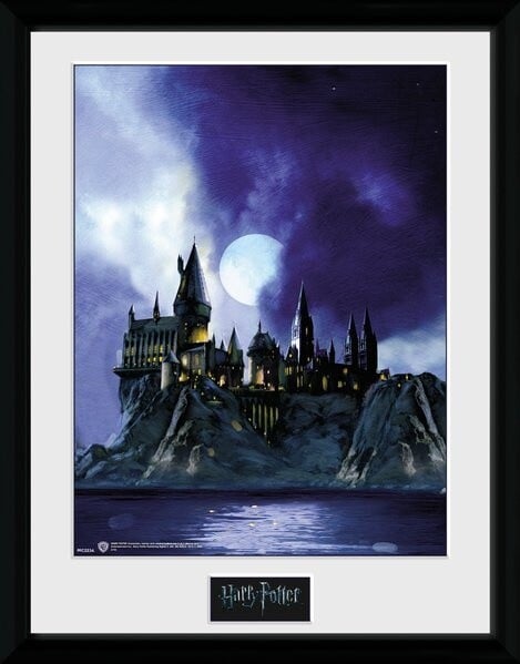 Obraz Harry Potter - Hogwarts Painted, zarámovaný (30x40)_629446381