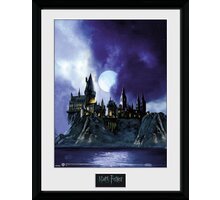Obraz Harry Potter - Hogwarts Painted, zarámovaný (30x40)_629446381